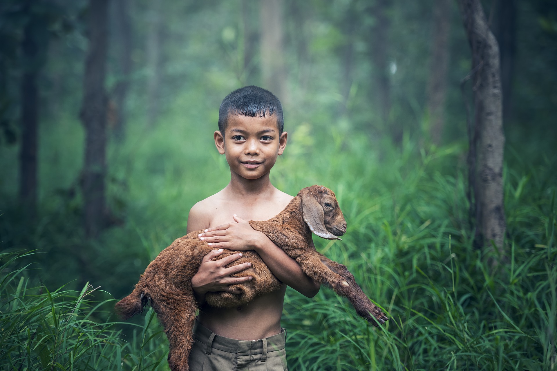 Enfant souriant avec un agneau dans les bras